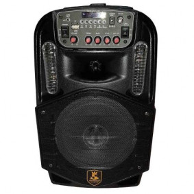 Bluetooth Karaoke zvucnik CH-8613 sa mikrofonom